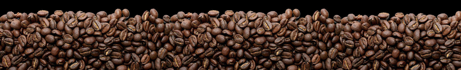 decorative bean footer